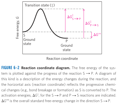 Reaction Energy Curve