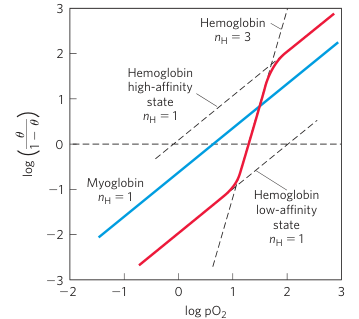 Hill Plot for Oxygen Binding