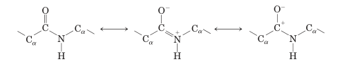 Peptide Bond Resonance